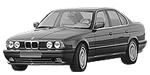 BMW E34 C12CC Fault Code